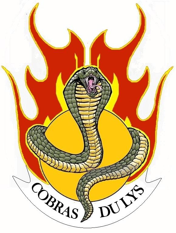 Cobra new